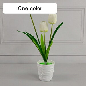 ԕȓ ͂Ȃ `[bv Ԍ|p j v[g  ʐ^Be LO ̓ }`bN  VN  { G} u[P  F zCg