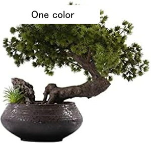 lHϗtA lH̖؂̋Sn̗ǂ̖؂̖~͂̑iT̋U̐A~̓|[`}CNi΂̐AfXNgbv̔A̐A lH~