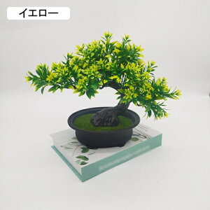 lHϗtA ~j A tFCNO[ A 25cm*30cm ~ CeA ƒ ItBX X   u ͂Ȃ b炸  蕨 v[g bh