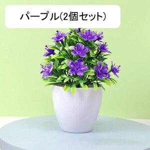 tFCNO[ lHϗtA  vX`bN A  ~ CeA ItBX X  u ͂Ȃ lH JXj Vzj Ԏ