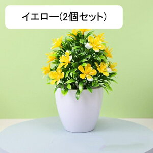 tFCNO[ lHϗtA  vX`bN A  ~ CeA ItBX X  u ͂Ȃ lH JXj Vzj Ԏ