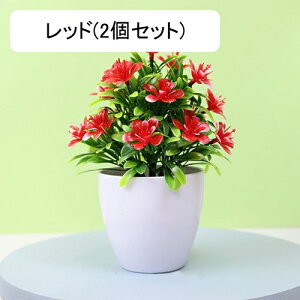 tFCNO[ lHϗtA  vX`bN A  ~ CeA ItBX X  u ͂Ȃ lH JXj Vzj Ԏ