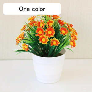  lHϗtA CeA ~j A  k tFCNt[ tFCNO[  nӓI   ItBX z[  Be Ԃ̖~ e[u̒u Vz