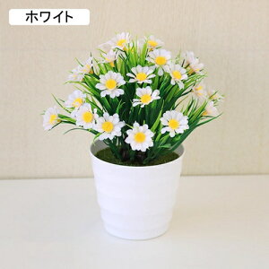  lHϗtA CeA ~j A  k tFCNt[ tFCNO[  nӓI   ItBX z[  Be Ԃ̖~ e[u̒u Vz