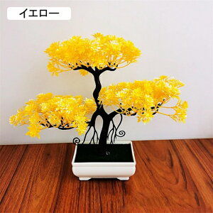 ϗtA  A ւ̉ lHϗtA tFCNO[  24cm ~ CeA  ItBX X  u ͂Ȃ b炸  JXj 蕨 v[g o