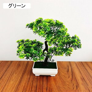 ϗtA  A ւ̉ lHϗtA tFCNO[  24cm ~ CeA  ItBX X  u ͂Ȃ b炸  JXj 蕨 v[g o