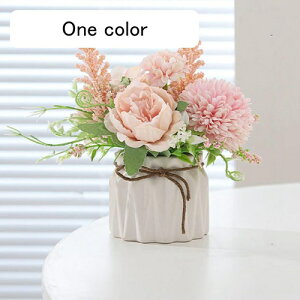 k IVW[ ԕrt  CeA INS AWTC  iX ʐ^Be a p v[g lHϗtA ԕrt  ~ju[P { sv 