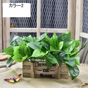 lHϗtA { ԃZbg ؍ ͂Ȃ sv  A[gt[ u  z[ 뉀 JXj ItBX iX  fR[V v[g k c 