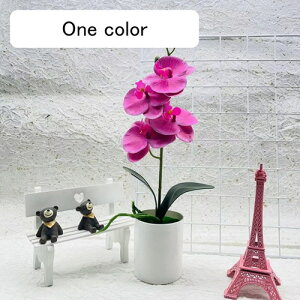 IVW[ Ӓ ԕȓ lHϗtA sv  { CeA Lb` ItBX 뉀  iX ̓Mtg  ԕrt G} ͂Ȃ k