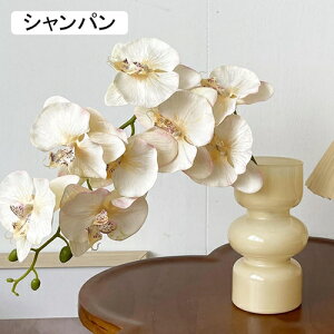 ԕȓ Zbg k Ӓ  { ̓Mtg LO  t[ p[v 뉀 Ԍ|p v[g  iX  VN ͂Ȃ sv 