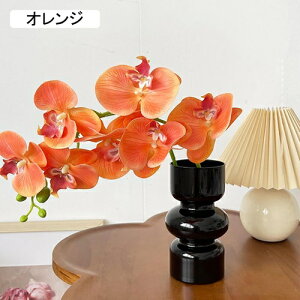 ԕȓ Zbg k Ӓ  { ̓Mtg LO  t[ p[v 뉀 Ԍ|p v[g  iX  VN ͂Ȃ sv 