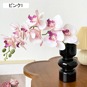 ԕȓ Zbg k Ӓ  { ̓Mtg LO  t[ p[v 뉀 Ԍ|p v[g  iX  VN ͂Ȃ sv 