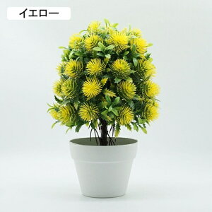 lHϗtA ԕrt {  sv ͂Ȃ   Lb` 뉀 Ԍ|p iX ~j  v[g k IVW[ p[v1 ԕȓ