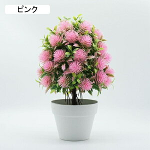 �l�H�ϗt�A�� �ԕr�t�� �{���������� ������ �����s�v �͂�Ȃ��� ���� ���� �L�b�`�� �뉀 ���Ԍ|�p �i���X �~�j ���� �v���[���g �k�� �I���V�W���[�� �p�[�v��1 �ԕr�̑���