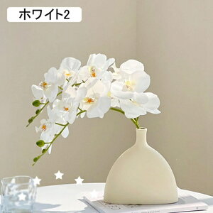 ͂Ȃ ԕȓ { Ӓ  LO ̓Mtg  sv  t[ 뉀 Ԍ|p v[g  iX ԑ VN  zCg O