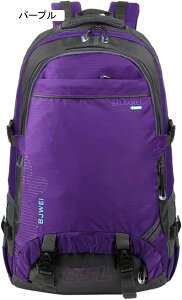 登山リュック 65L 登山バッグ 大容量 リュックサック 防水 防汚 バックパック ザック 通気 超軽量 収納性 多機能 男女兼用 旅行 防災 キャンプ ハイキング アウトドア
