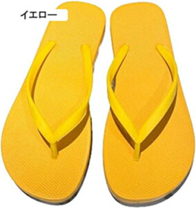 gOT_ Xbp fB[X  r[`T_ F PVC ~ y Ȃ _ JWA  Vv ɂȂ s O x_  ][g