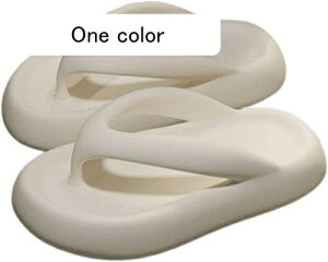 gOT_ fB[X  F T_ Ȃ PVC y 킢 r ₷ _炩 JWA  Vv ɂȂ s O x_  ][g