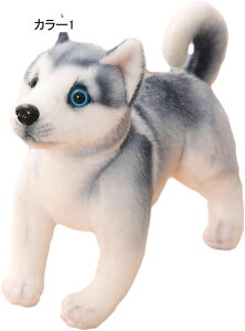 ʂ Č nXL[  n 傫NbV   j  _炩 YQ Q C ObY Q 30cm  NX}X o^Cf[