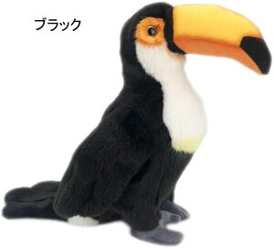 ʂ IjIInV   A 傫 xbh[ 炩 NX}X Q  a v[g 30cm  YQ D o^Cf[ ܎O