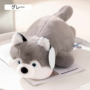 ʂ Č  傫   q YQ Q ˂ނ˂ 炩 Q o^Cf[ a ObY \tg ܂ 40cm NX}X j v[g