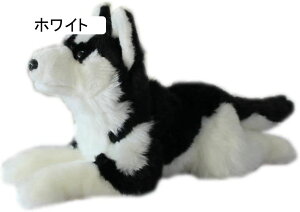 ʂ AXJhbO   傫  q YQ Q ˂ނ˂ 炩 Q nEB q̓ a ObY \tg ܂ ᔽ 38cm NX}X