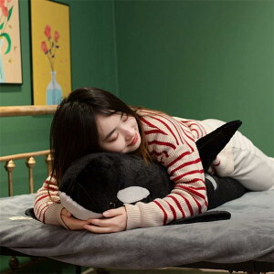 V`ʂ  TJ}^ {  傫 Gǂ xbh[ 炩 w Q   YQ D q̓ 100cm ܎O a N