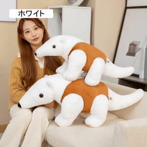 Jo[􂦂 o^Cf[ zCg LN^[ ʂ Dw  NbV NbV ZURE.CVSC ۂ Q av[g 90cm  C 