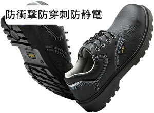 SC v Z[teB[V[Y U[ h ϖ |c ܐی Bݔh~ ҂ݏグ [NV[Y Y ϊ NbV ώ_ σAJ y ≏ jp ݌