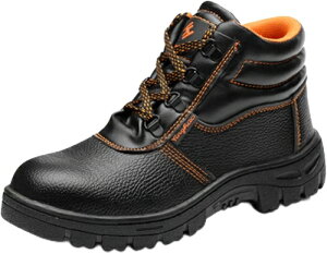 SC [Nu[c nCJbg Z[teB[V[Y Sܐ ܐی ђʖh~  v ʋC ~ NbV y hL h Ռz y ÓdCh~ jp qɍ 