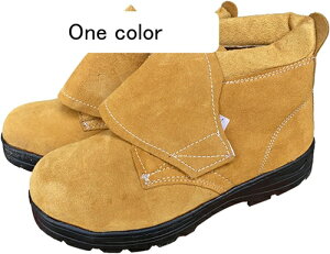 SC nCJbg XG[h [Nu[c ƃu[c xN Z[teB[V[Y |ܐ ܐی ђʖh~ ʋC y hL h Ռz ≏ jp H z n 