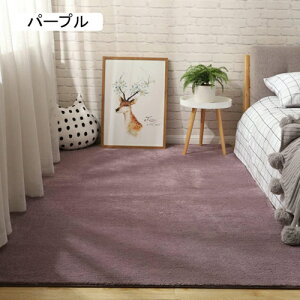 O 􂦂 120*160cm J[ybg R hL h_j J[L ᔽ zbgJ[ybgJo[ tl ` g[Ή n Vv 傫  k 킢  r