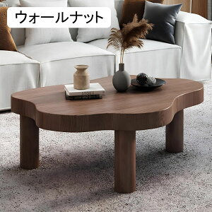 _ȃKX̃R[q[e[uACނ̋rt@\TChe[uAȃrO[pAGKgŎpIȃ\t@e[u(J[:uETCY:91x65x40cm)