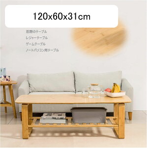 [e[u Z^[e[u ` a[e[u R[q[e[u | R[q[e[u ԑ  RpNg[ [Xy[Xt rOpe[u 100x60x51cmA120