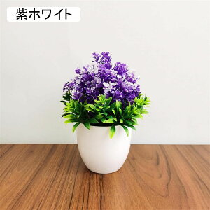 ϗtA  t  lH A  ~ CeA ItBX X  u ԃZbg { ͂Ȃ bsv rO///ʑ/Qp tFCNO[