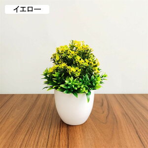 ϗtA  t  lH A  ~ CeA ItBX X  u ԃZbg { ͂Ȃ bsv rO///ʑ/Qp tFCNO[