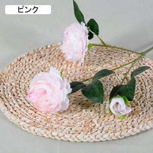 Ỏ  ͂Ȃ V~[V 蕨̉ ԑ CeA A[gt[ VN  X iX  p[eB[ Cxg   Mtg A[gt[i