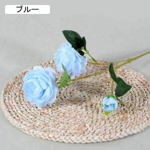 Ỏ  ͂Ȃ V~[V 蕨̉ ԑ CeA A[gt[ VN  X iX  p[eB[ Cxg   Mtg A[gt[i