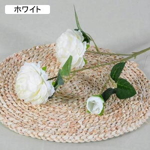 Ỏ  ͂Ȃ V~[V 蕨̉ ԑ CeA A[gt[ VN  X iX  p[eB[ Cxg   Mtg A[gt[i