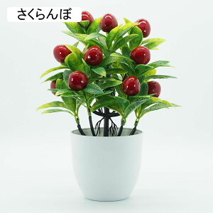 lHϗtA A ~ |    K[f ItBX rO[ { A } CeA Bep  蕨 b炸 v[g   l