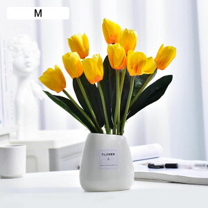 ϗtA  JX~ ԕrt tFCNO[ { ͂Ȃ bsv lH  CeA ItBX X  rO//ʑ/Qp A  蕨 v