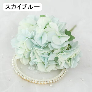  CeA AWTC 1{ XJCu[ ͂Ȃ A[gt[ ̓v[g Mtg 킢 j   X iX  p[eB[ a ԑ 蕨̉ lH