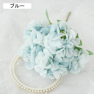  CeA AWTC 1{ XJCu[ ͂Ȃ A[gt[ ̓v[g Mtg 킢 j   X iX  p[eB[ a ԑ 蕨̉ lH