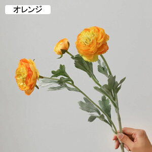  O {^̉ԑ u[P g ͂Ȃ bsv A[gt[ tFCN lH CeA EGfBO e[u AW I[ig Be j v[g 