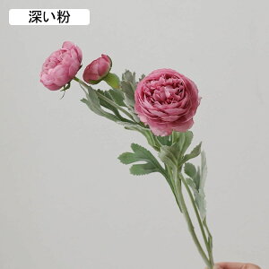  O {^̉ԑ u[P g ͂Ȃ bsv A[gt[ tFCN lH CeA EGfBO e[u AW I[ig Be j v[g 