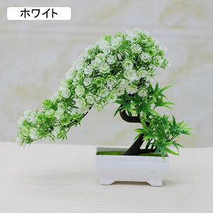 lHϗtA A ~   CeA tFCNO[  vX`bN tFCNt[ p  Vzj Mtg Ղ 蕨 ItBX z[  e[u