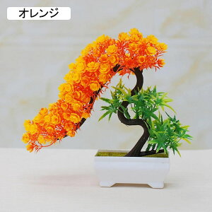 lHϗtA A ~   CeA tFCNO[  vX`bN tFCNt[ p  Vzj Mtg Ղ 蕨 ItBX z[  e[u