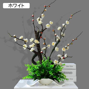 ~̉  CeA  ԃZbg tFCNt[ vX`bN u[P A[gt[ ͂Ȃ LC A JXj ̓Mtg Vj fp[g rO u 