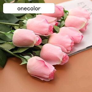  CeA sN 10{ [Y o KN ͂Ȃ A[gt[ ̓v[g Mtg 킢 j   X iX  p[eB[ a ԑ 蕨̉