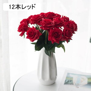  CeA o KN 5{  ͂Ȃ A[gt[ ̓v[g Mtg 킢 j   X iX  p[eB[ a ԑ 蕨̉ lHϗtA